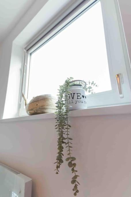 Holiday home Watersedge Retreat, Views, Sunsets, Dogs Welcome *